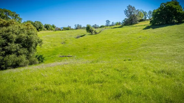 a view of a lake with a city