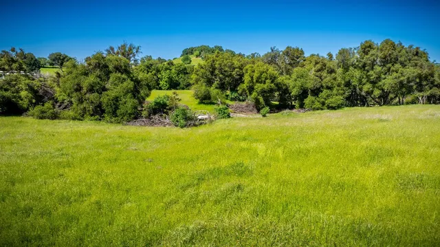 a view of a lake with a city