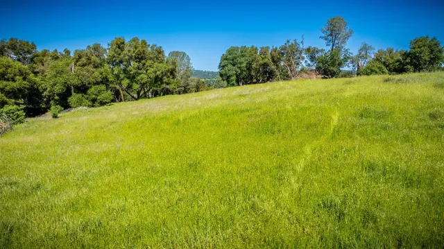 a view of a lake with a houses