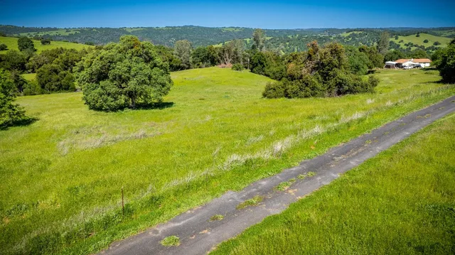 a view of a lush green field with lots of plants