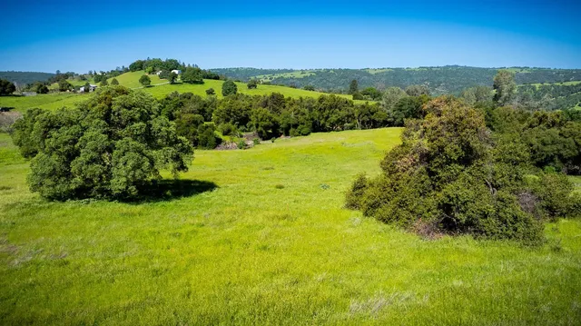 a view of a garden with an ocean