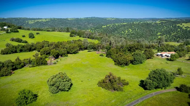a view of a garden with a lake
