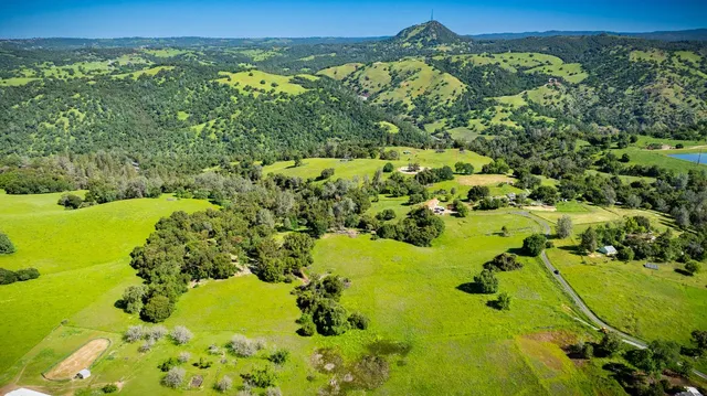 an aerial view of residential houses with outdoor space and trees
