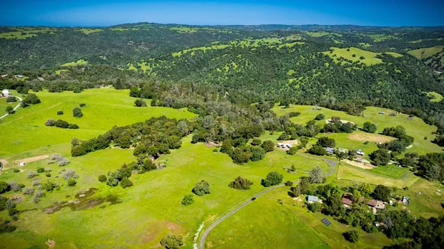 a view of a lush green hillside and houses