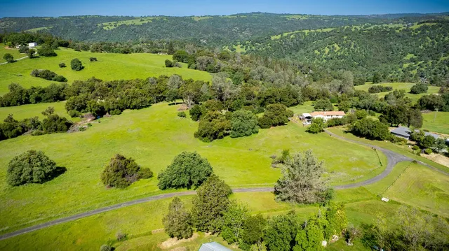 a view of a lush green outdoor space with a lake view