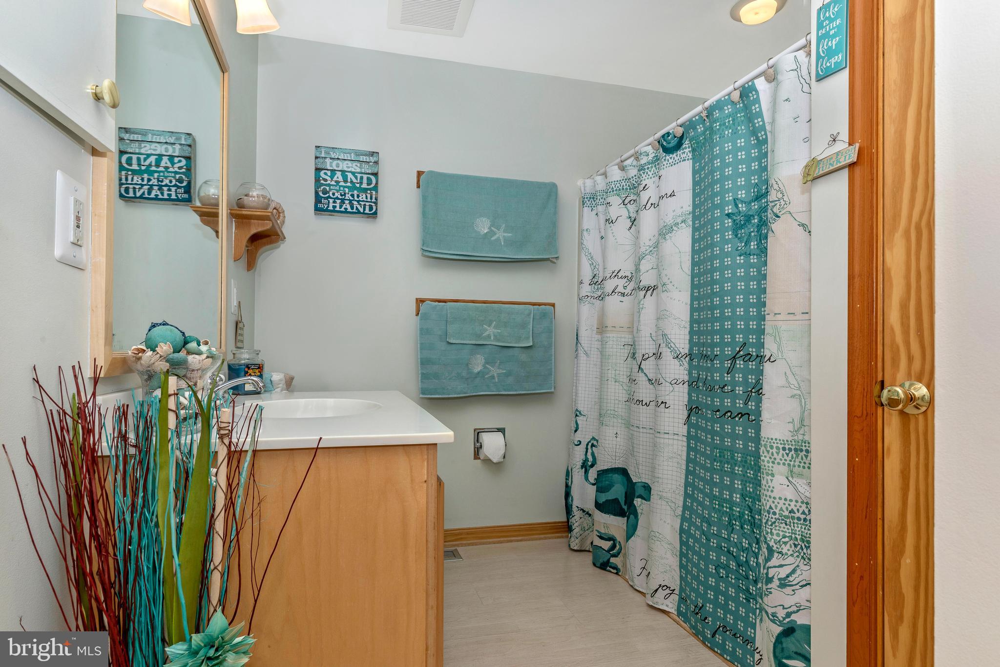 11789 Rowe Road Monrovia, MD 21770 - Photo 22 of 82 1st Floor Full Bathroom
