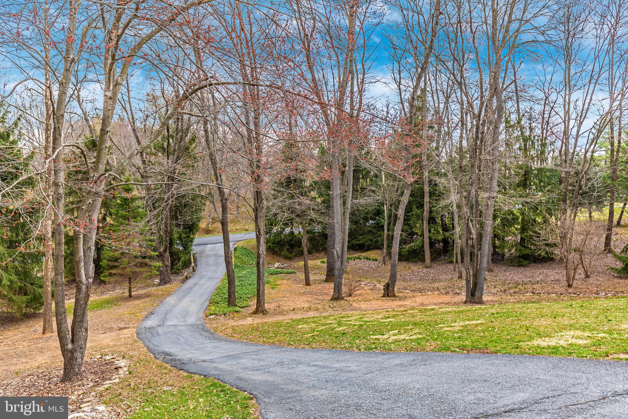 11789 Rowe Road Monrovia, MD 21770 - Photo 81 of 82 Exterior Front Yard with view of Wooded Lot