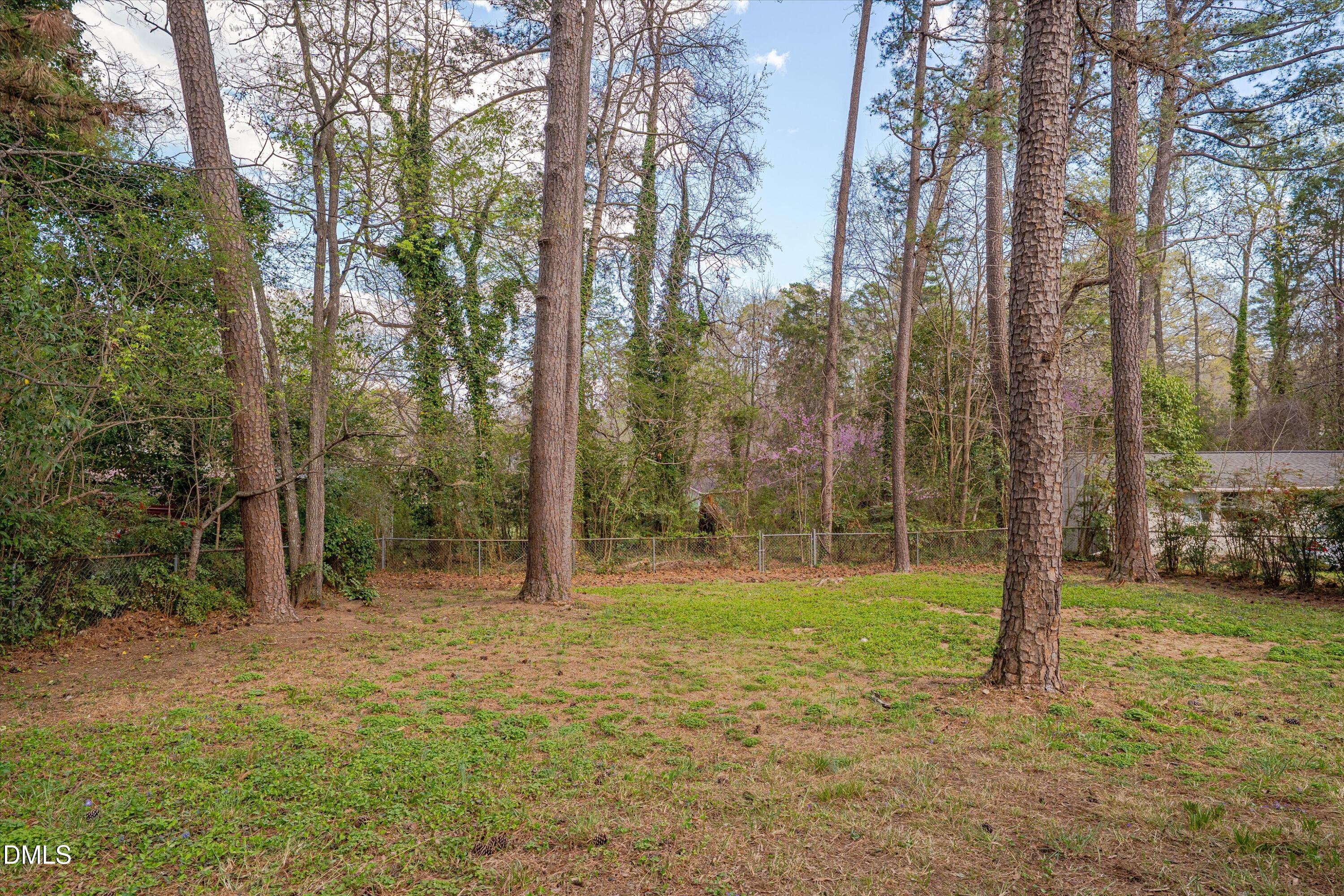 3516 Preston Avenue Durham, NC 27705 - Photo 20 of 24 Backyard