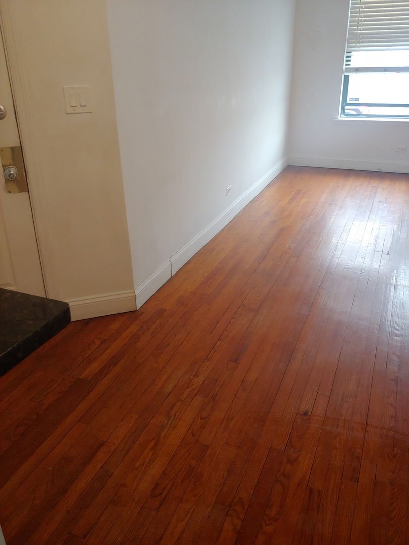 307 East 50th Street, Unit 307A Chicago, IL 60615 - Photo 4 of 10 an empty room with wooden floor and windows