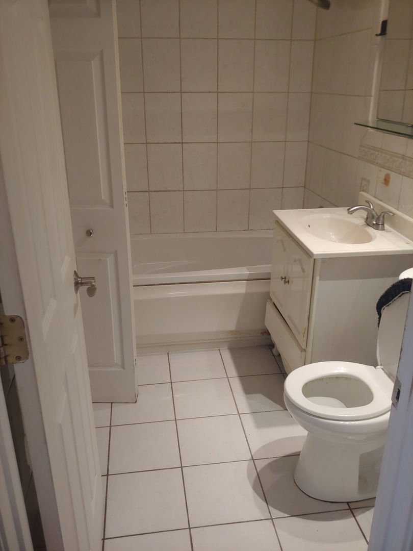 307 East 50th Street, Unit 307A Chicago, IL 60615 - Photo 7 of 10 a bathroom with a toilet and a sink