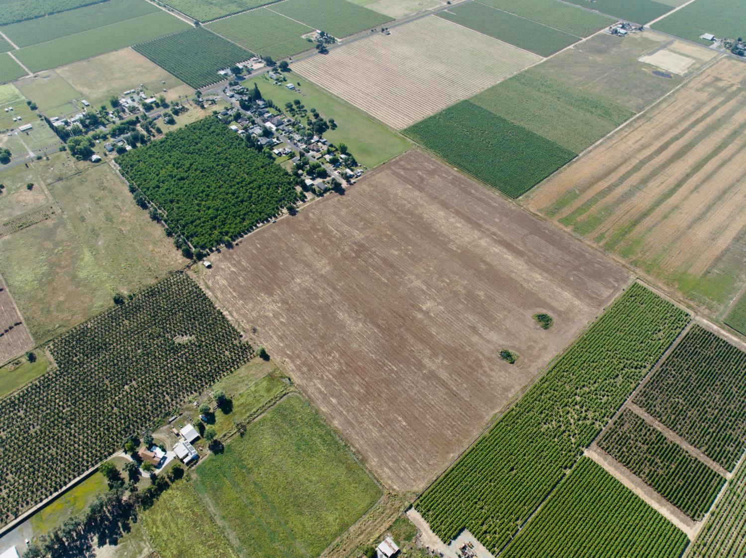 5244 East Jahant Road Galt, CA 95632 - Photo 4 of 8 a view of a green field