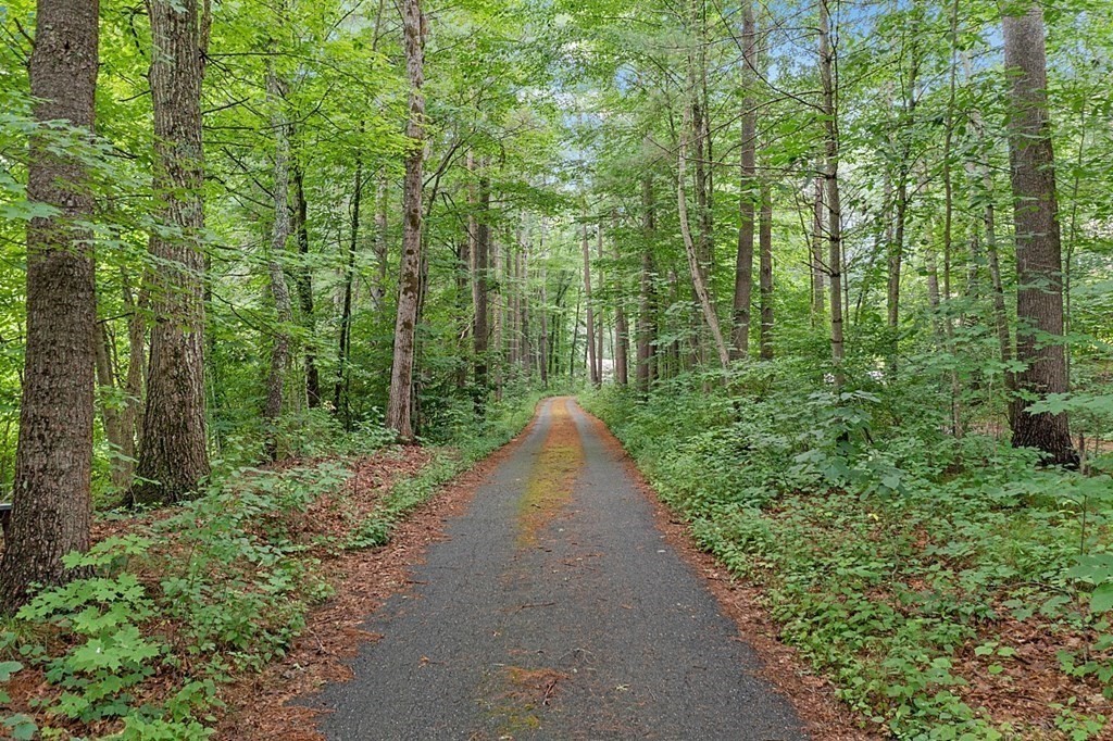 69 Hill Road Groton, MA 01450 - Photo 4 of 42 a view of a garden with large trees