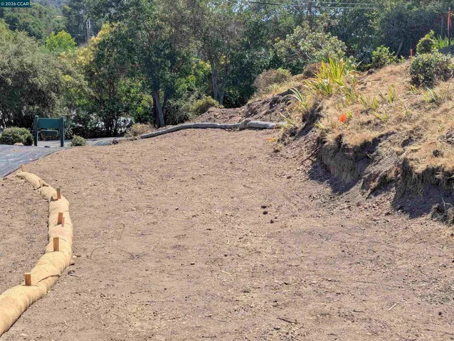 a view of a park with plants and a bench