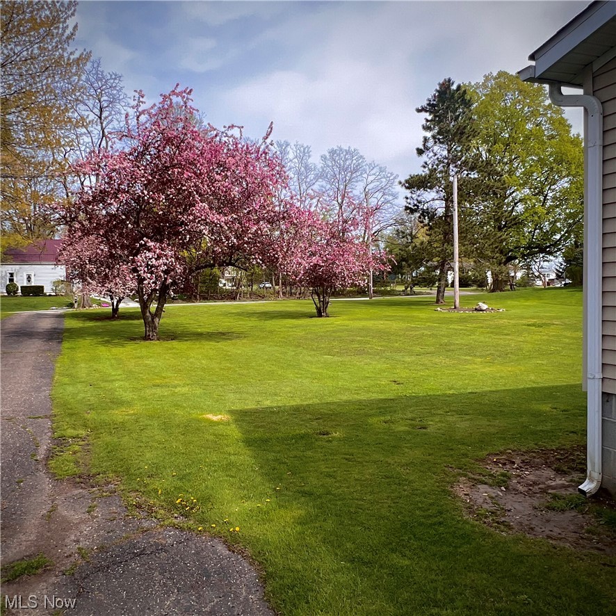 8911 Nichols Road Windham, OH 44288 - Photo 4 of 23 Gallery Image 4