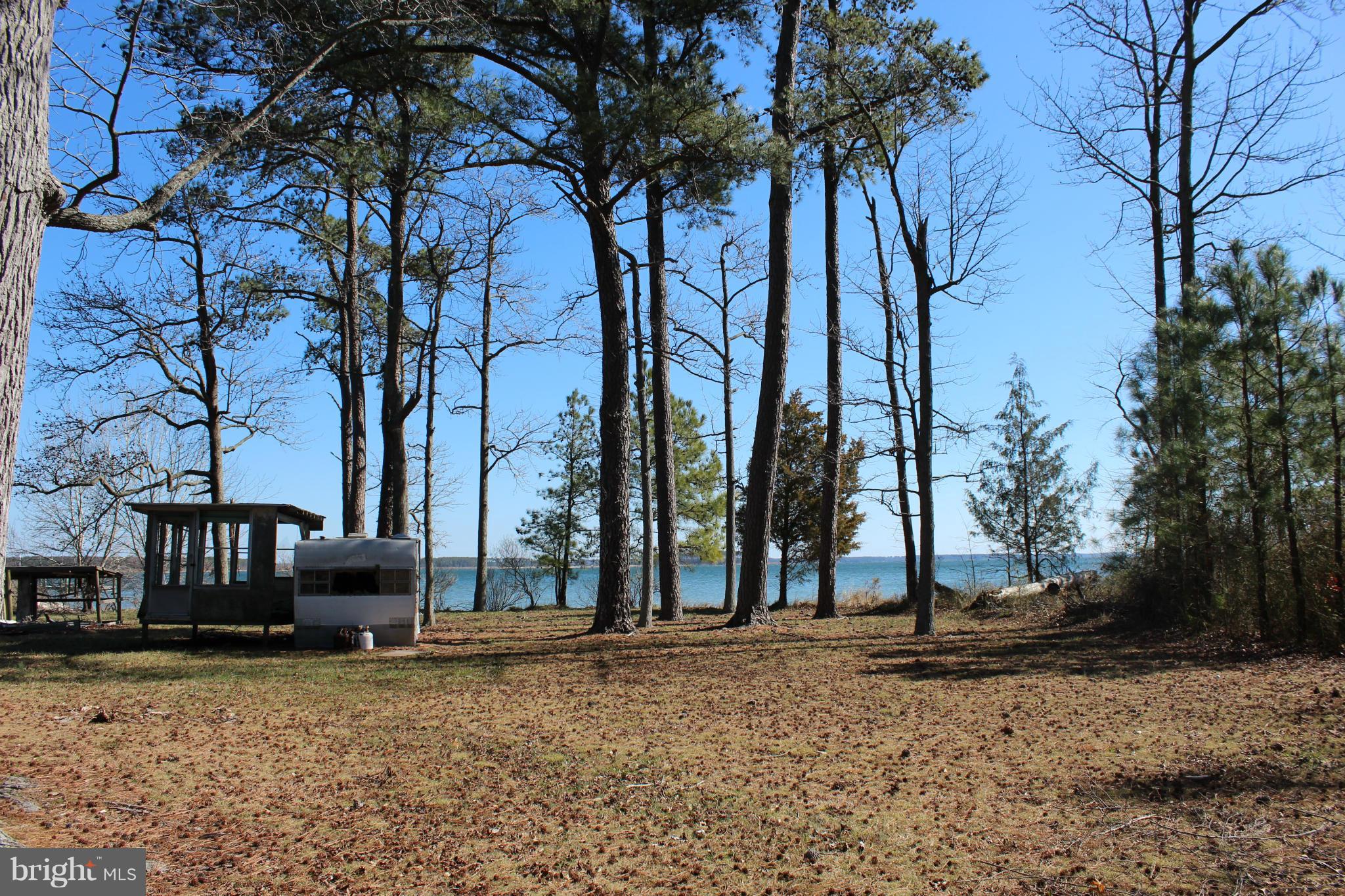 16934 Piney Point Road Piney Point, MD 20674 - Photo 1 of 28 a view of a backyard with large trees