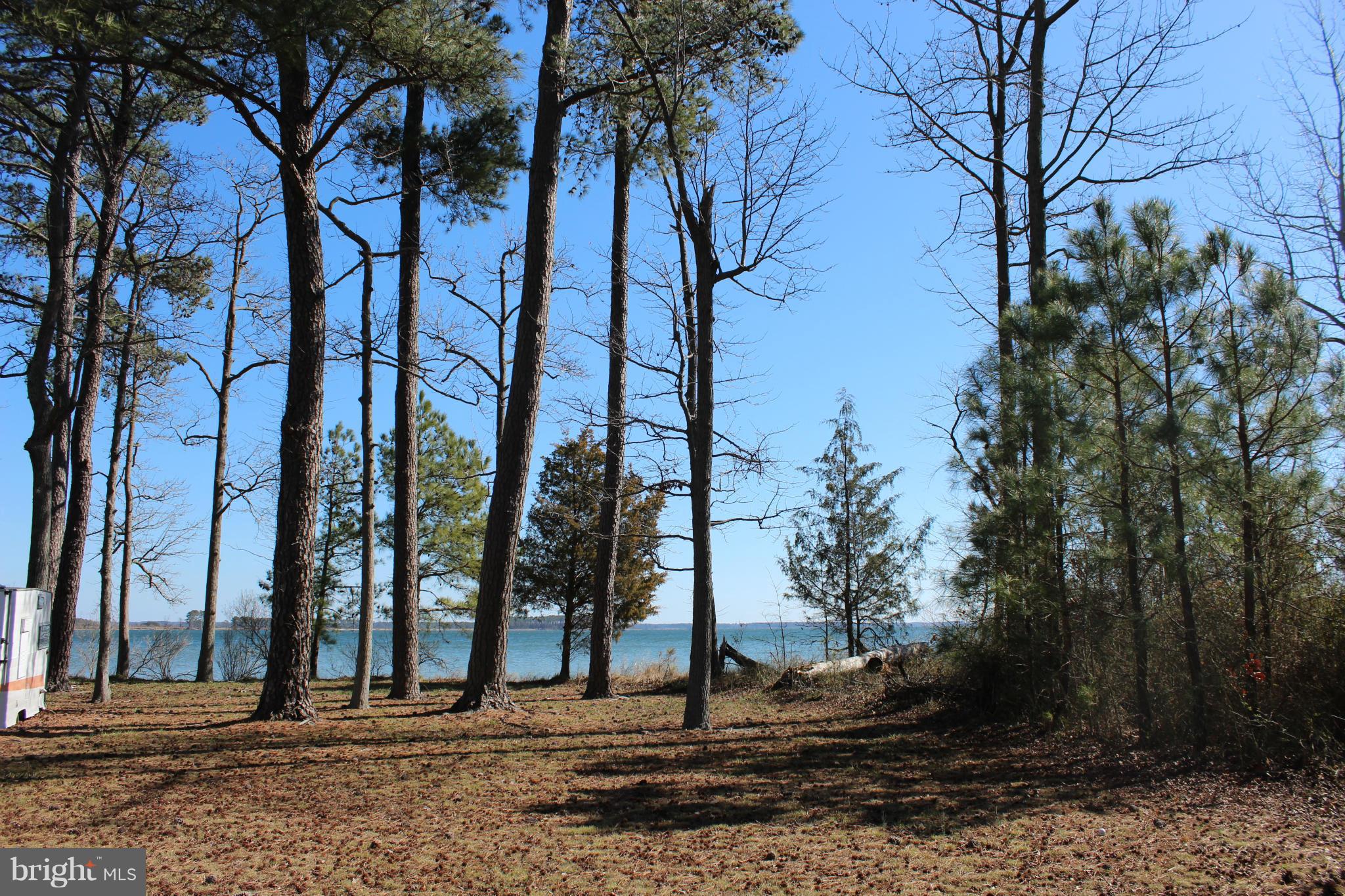 16934 Piney Point Road Piney Point, MD 20674 - Photo 13 of 28 a view of a park with trees