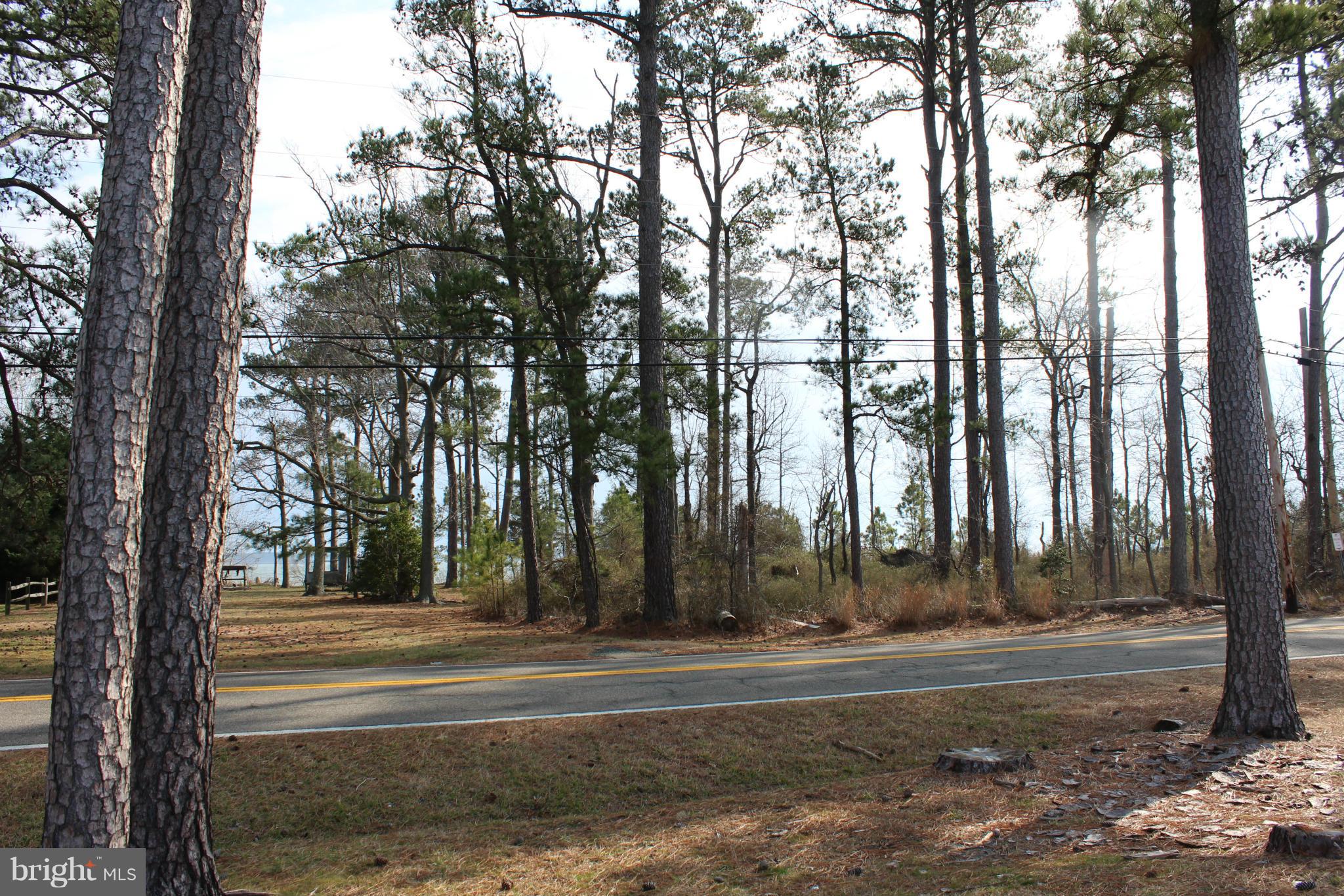 16934 Piney Point Road Piney Point, MD 20674 - Photo 24 of 28