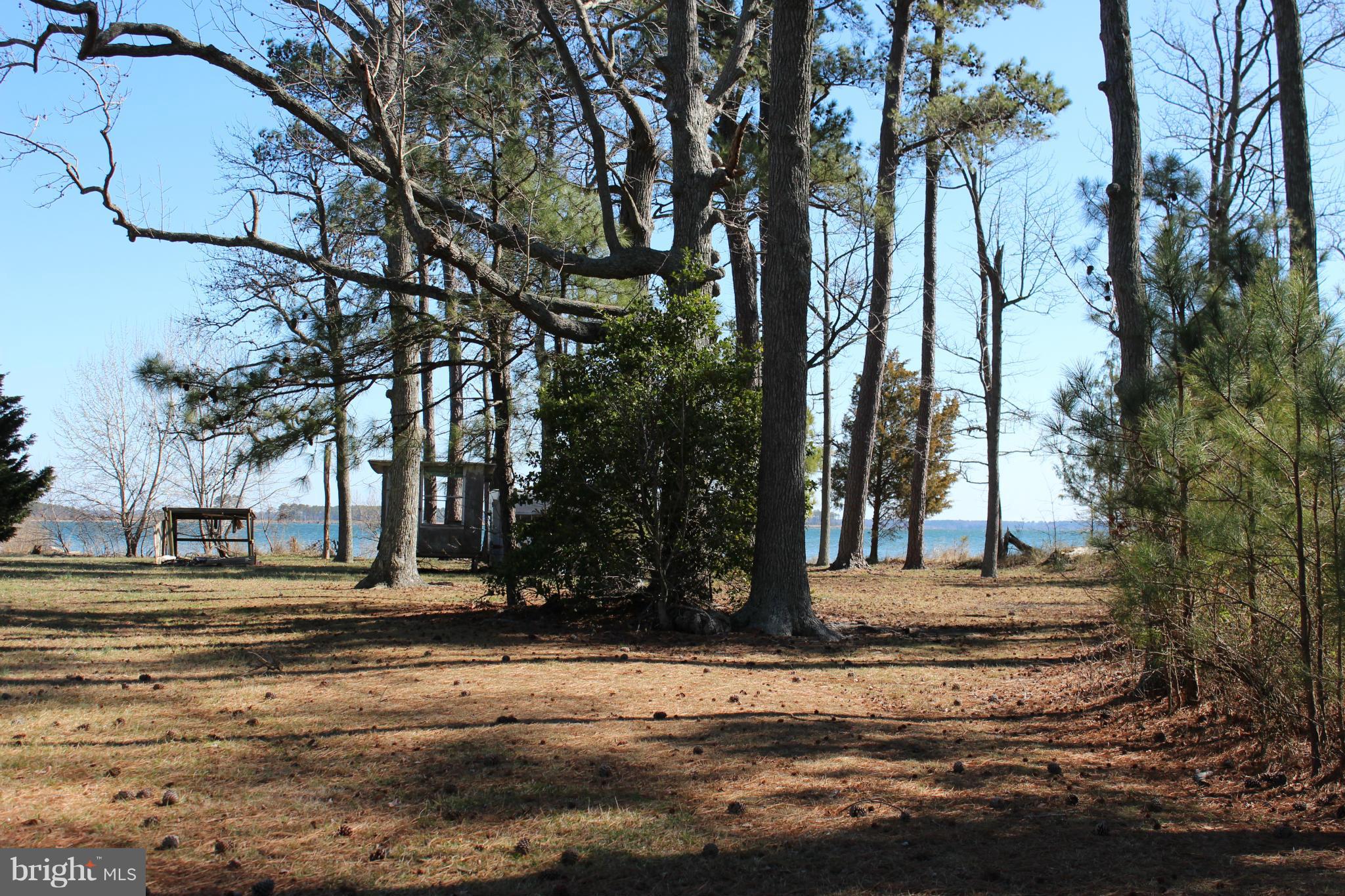 16934 Piney Point Road Piney Point, MD 20674 - Photo 10 of 28