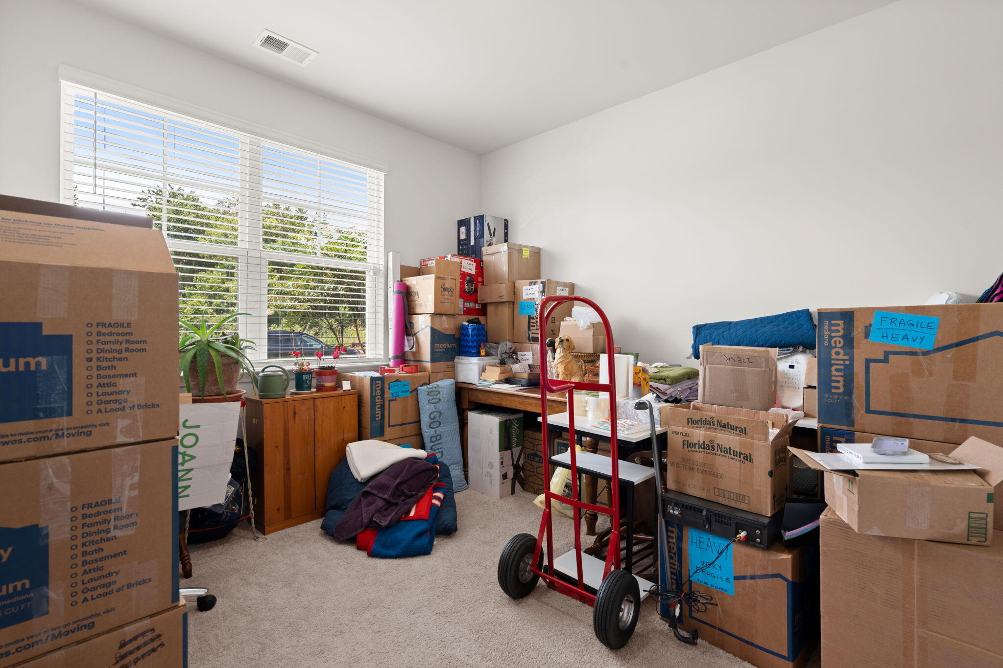 116 William Clark Boulevard Santee, SC 29142 - Photo 22 of 29 22