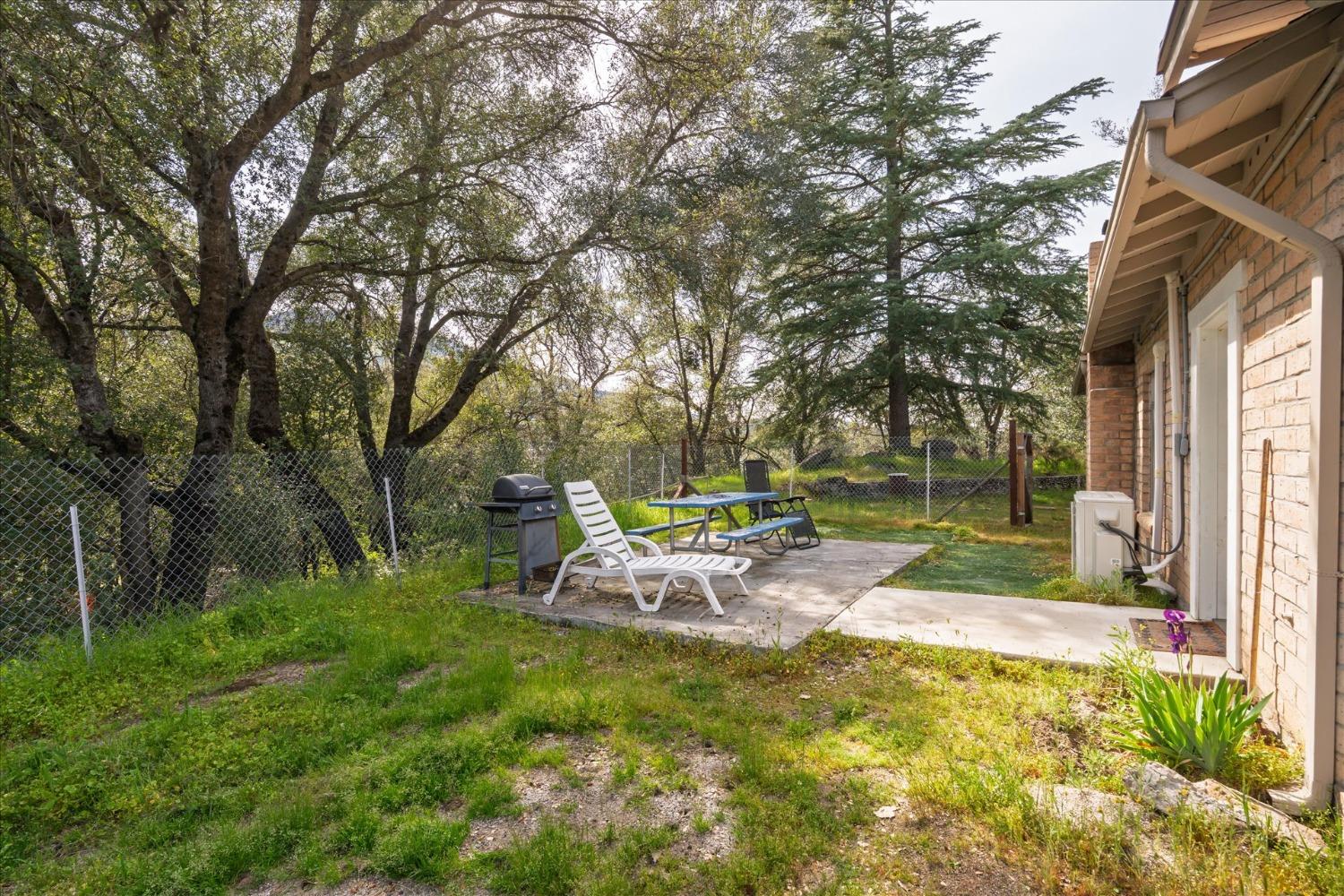 48994 Manzanita Road Oakhurst, CA 93644 - Photo 37 of 43 a view of a park with large trees