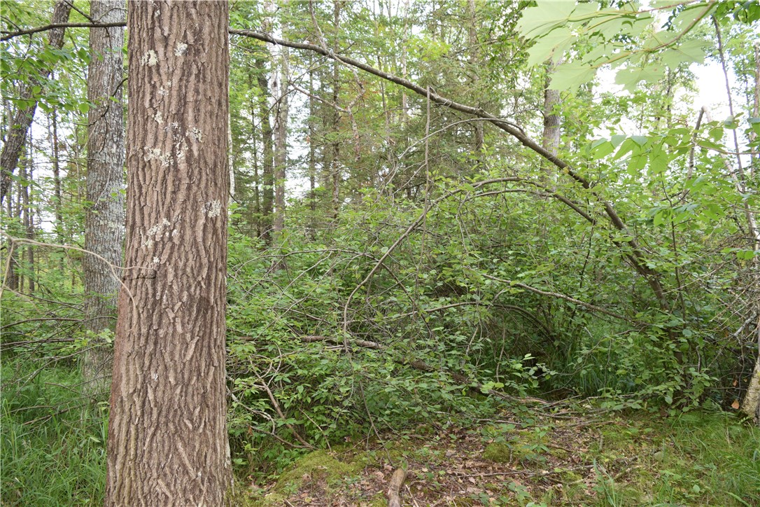 14 Old 14 Road Weyerhaeuser, WI 54895 - Photo 21 of 24