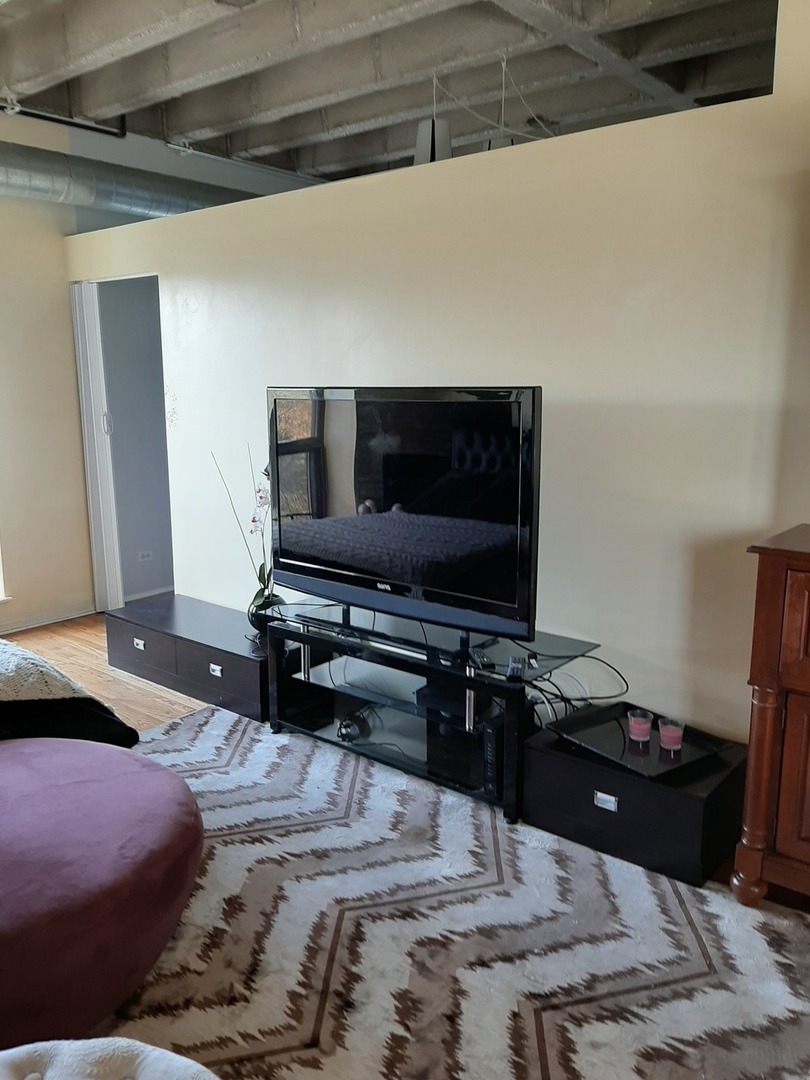 811 South Lytle Street, Unit 403 Chicago, IL 60607 - Photo 7 of 17
