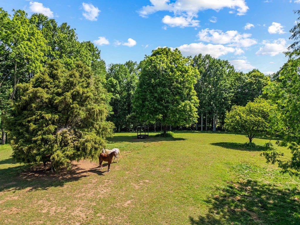 1610 Pope Road Ivanhoe, VA 24350 - Photo 92 of 93 Gallery Image 92