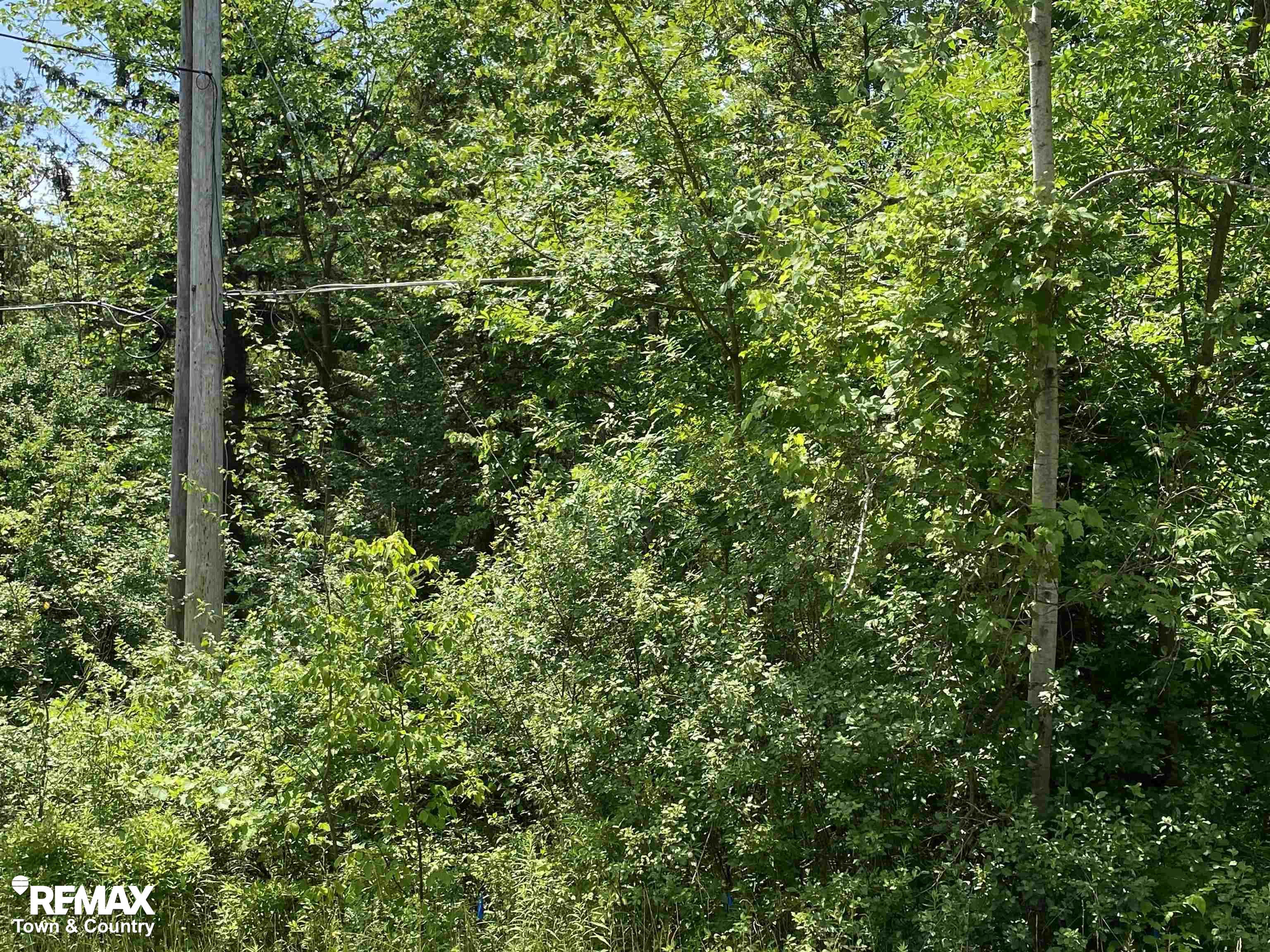 0 East River Road Flushing, MI 48433 - Photo 3 of 7