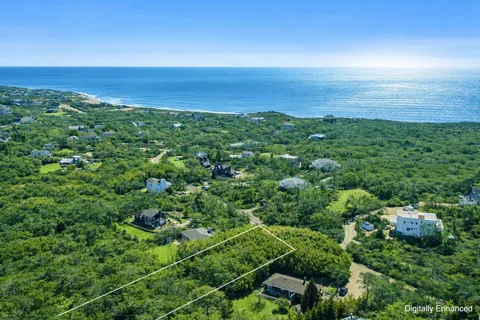 an aerial view of residential houses with outdoor space and trees