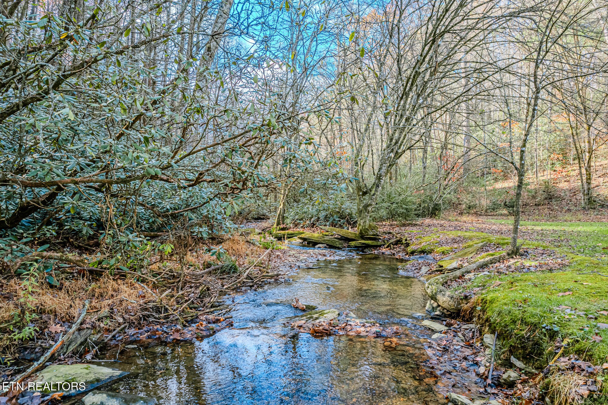 0 Pond Ridge Road Tellico Plains, TN 37385 - Photo 10 of 32
