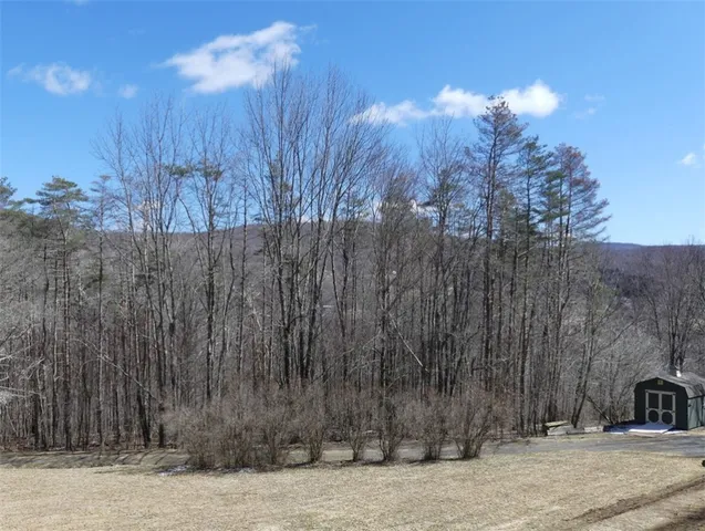 $619,000 | Undisclosed Address, Andes, NY 13731