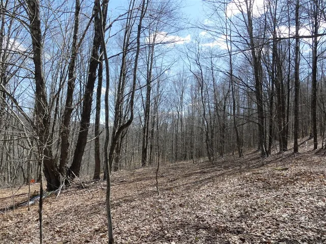 $619,000 | Undisclosed Address, Andes, NY 13731