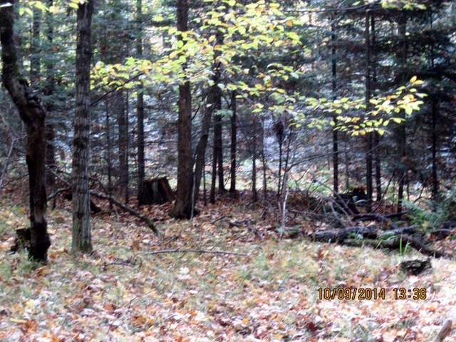 7-acres Sabinois Point Road Pelican Lake, WI 54463 - Photo 17 of 19 Gallery Image 17