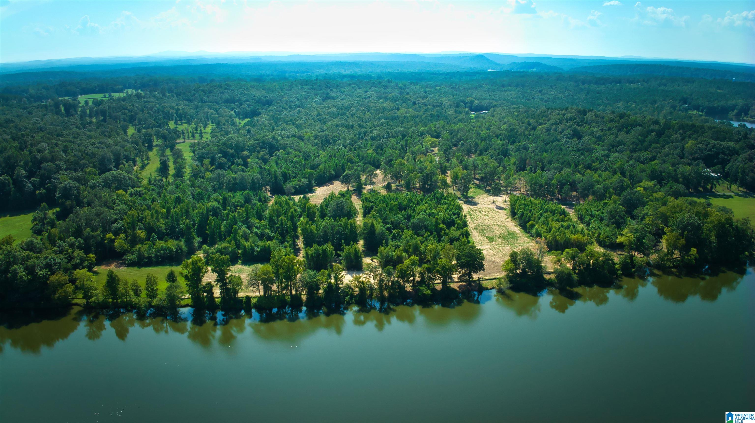 Lot 20 Wester Road, Unit LOT 20 Ragland, AL 35131 - Photo 20 of 68