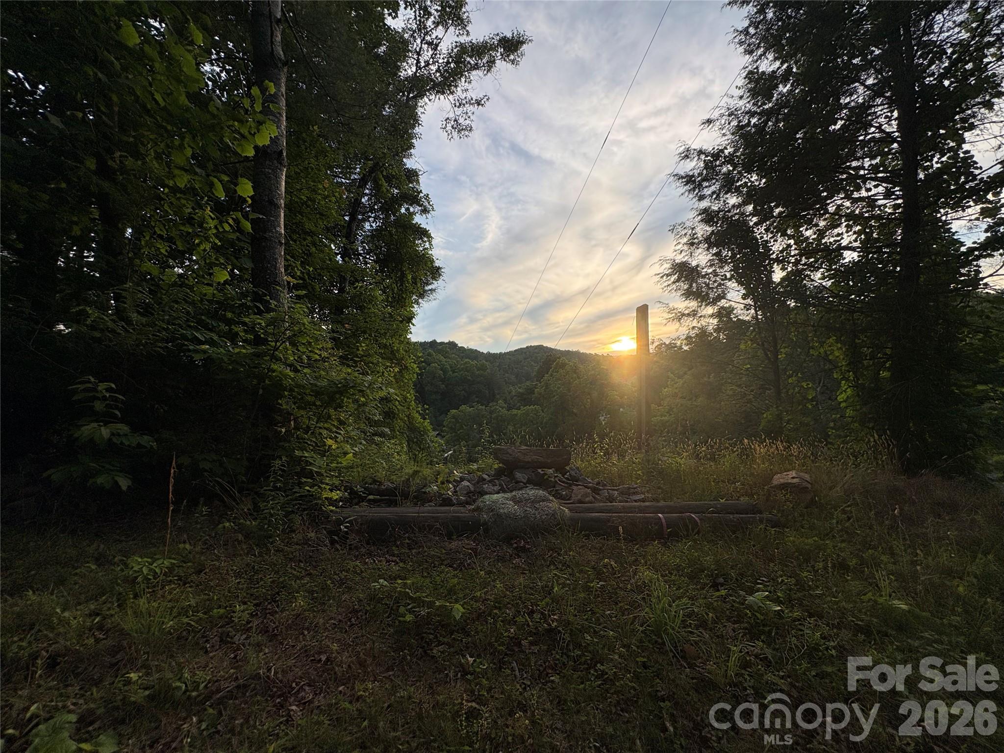 4733 Bat Cave Road Old Fort, NC 28762 - Photo 2 of 36