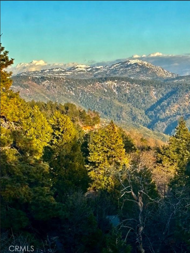 1226 Bridal Path Rimforest, CA 92378 - Photo 14 of 15