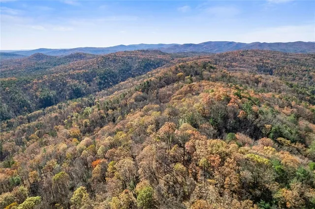 a view of a city with mountains in the background