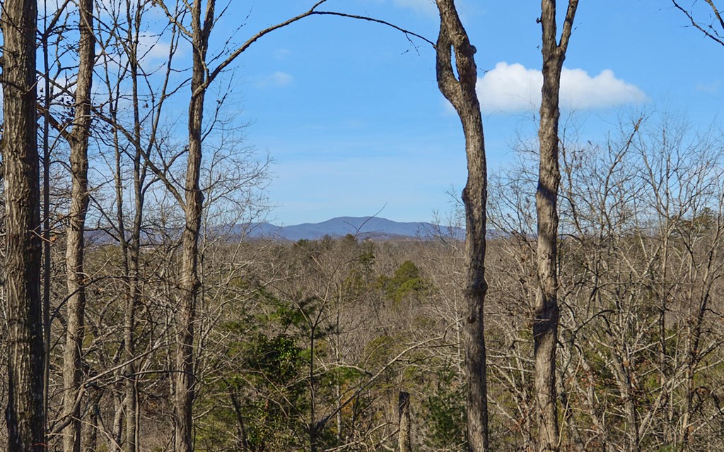 380 Tanglewood Drive Blue Ridge, GA 30513 - Photo 6 of 39