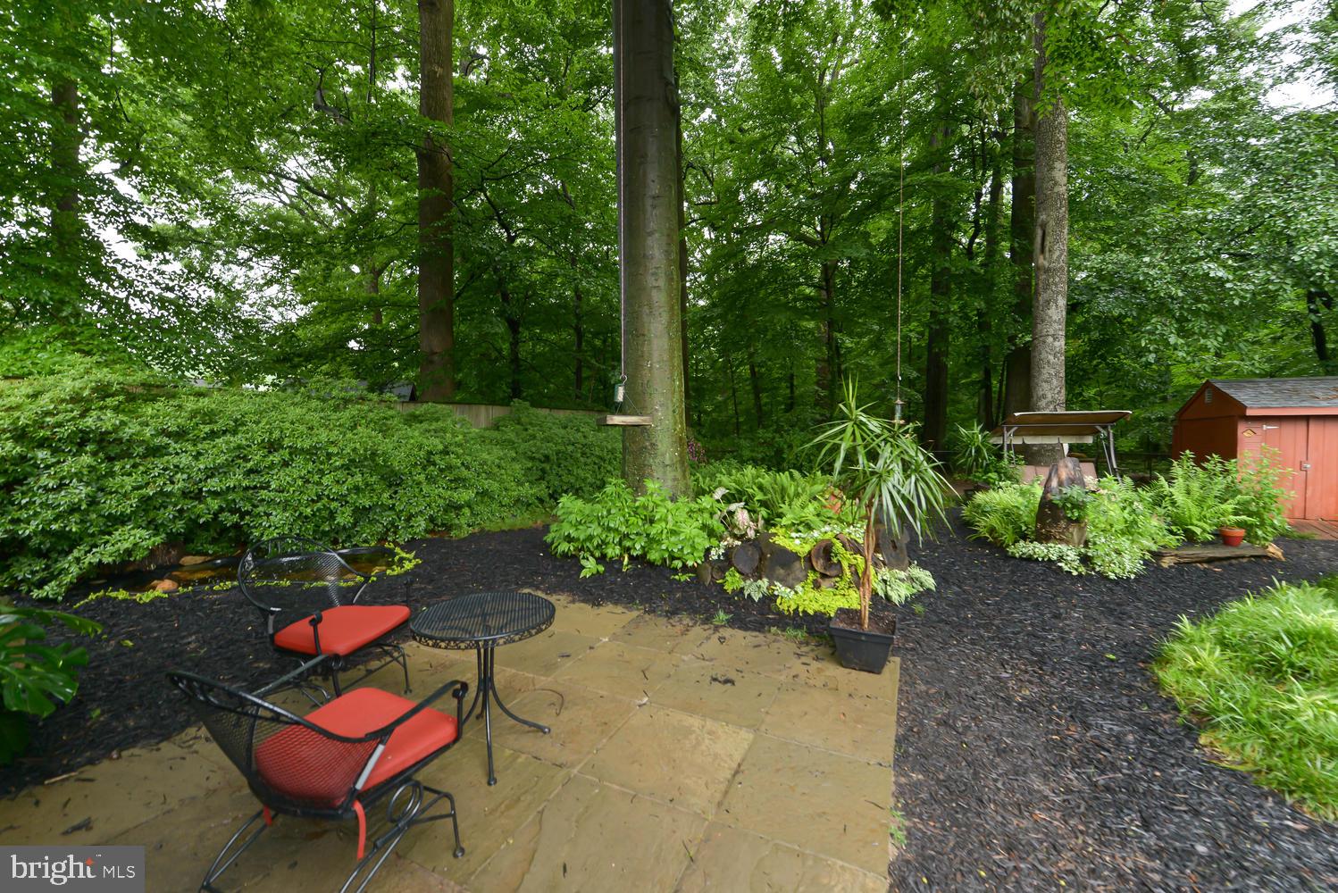 3105 Kingtree Street Silver Spring, MD 20902 - Photo 31 of 46 Backyard