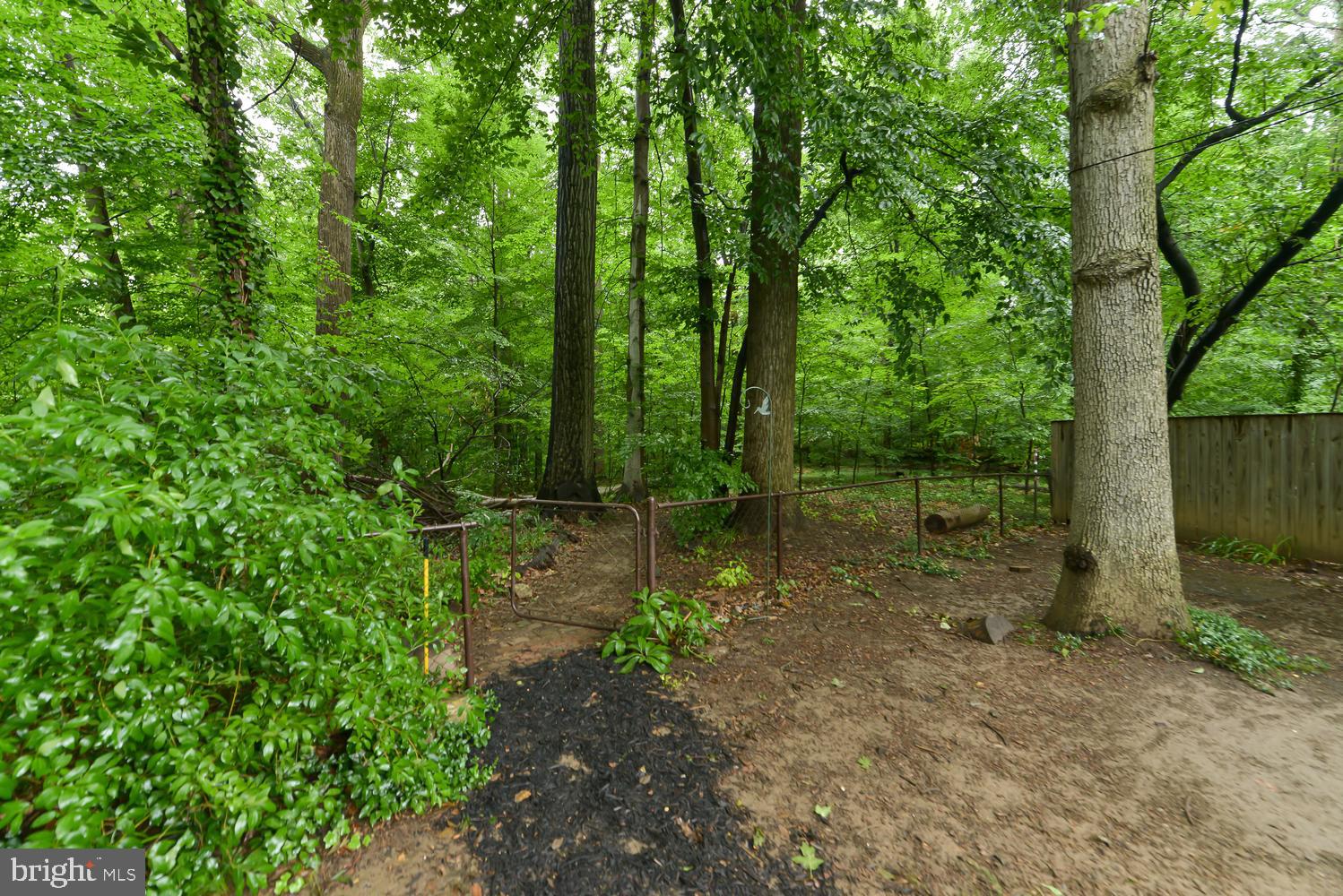 3105 Kingtree Street Silver Spring, MD 20902 - Photo 33 of 46 Backyard