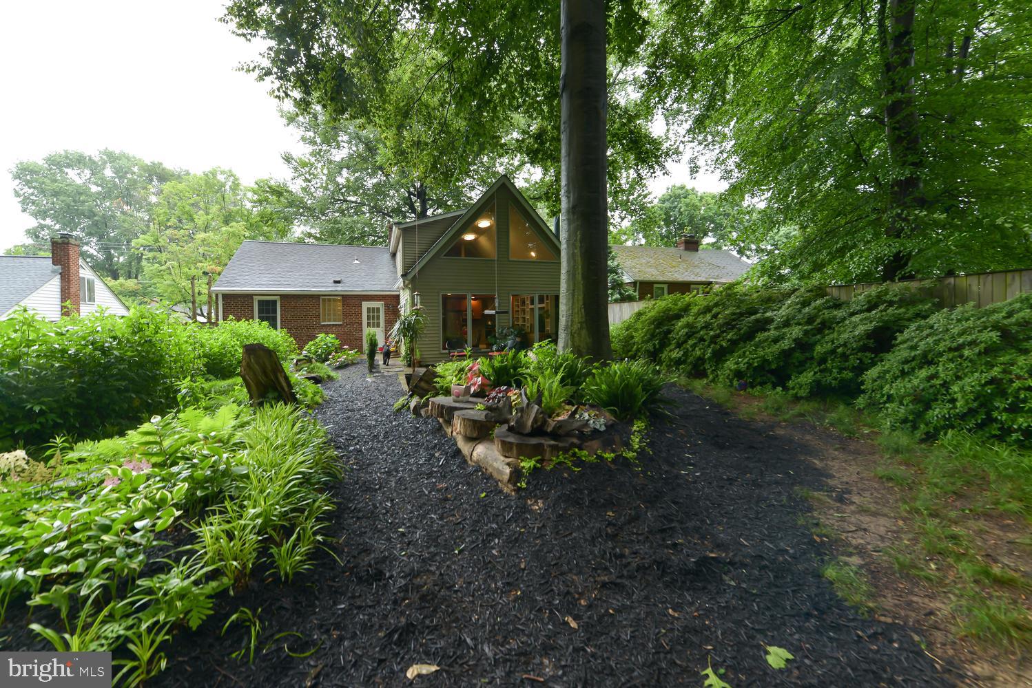 3105 Kingtree Street Silver Spring, MD 20902 - Photo 34 of 46 Backyard