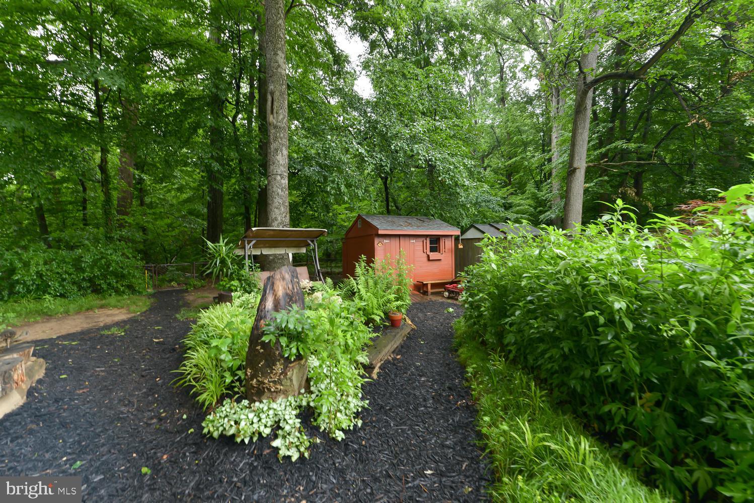 3105 Kingtree Street Silver Spring, MD 20902 - Photo 37 of 46 Backyard
