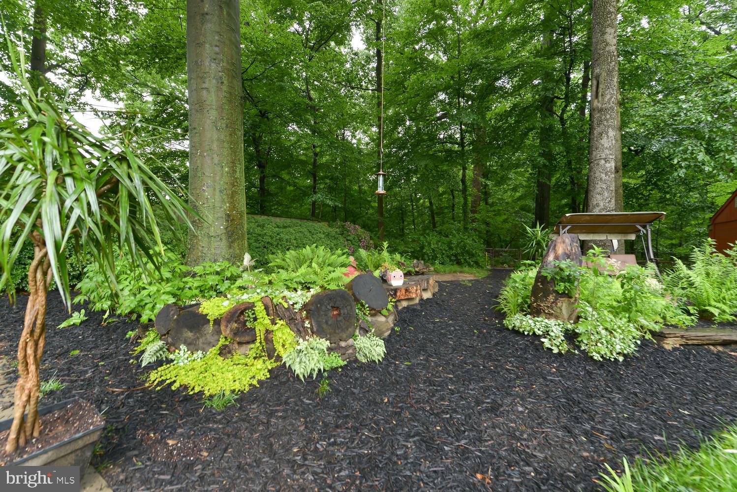 3105 Kingtree Street Silver Spring, MD 20902 - Photo 38 of 46 Backyard