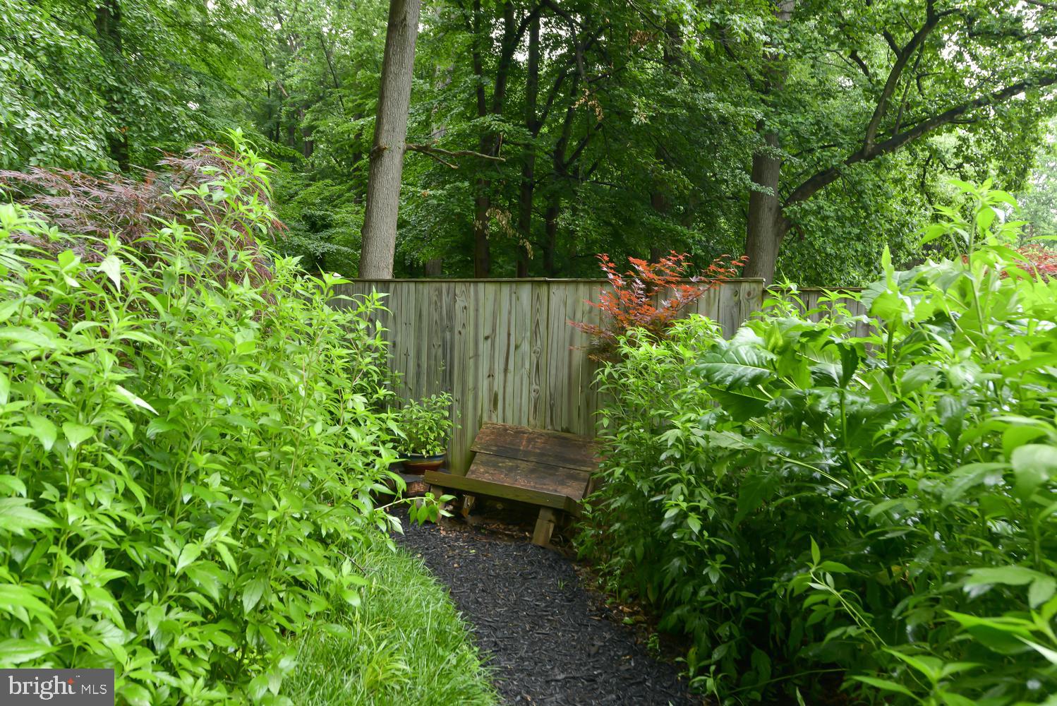 3105 Kingtree Street Silver Spring, MD 20902 - Photo 39 of 46 Backyard