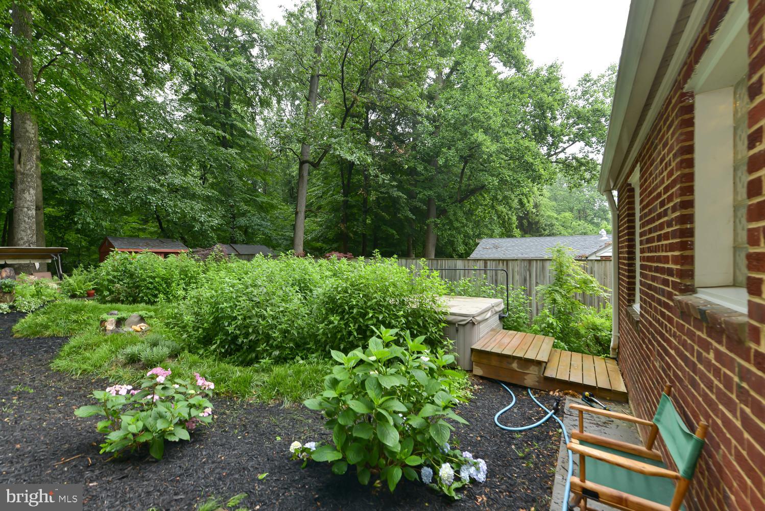 3105 Kingtree Street Silver Spring, MD 20902 - Photo 41 of 46 Backyard