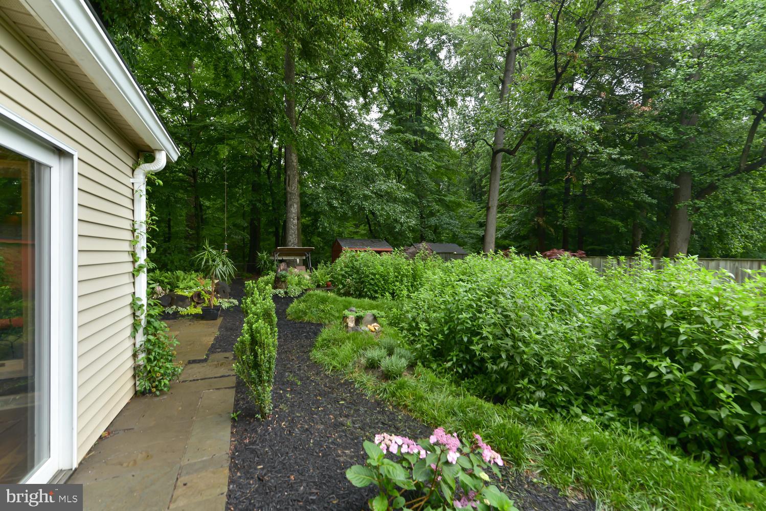 3105 Kingtree Street Silver Spring, MD 20902 - Photo 43 of 46 Back Yard