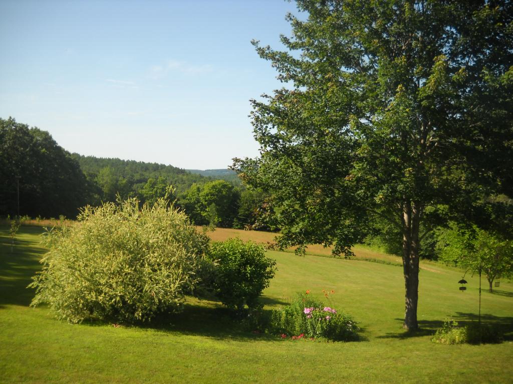 323 Alstead Center Road Alstead, NH 03602 - Photo 34 of 36