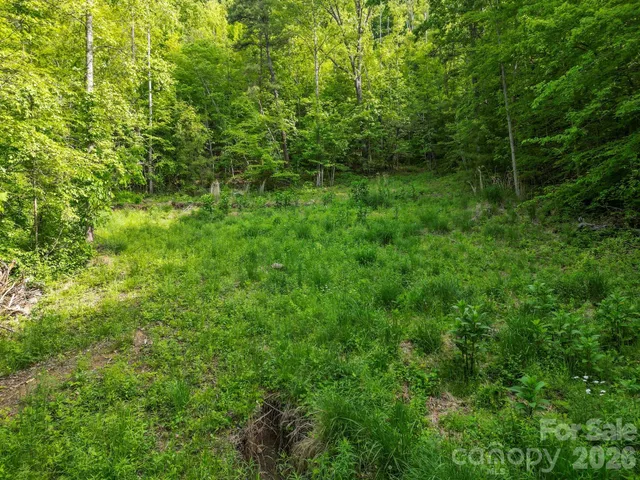 a view of yard with green space