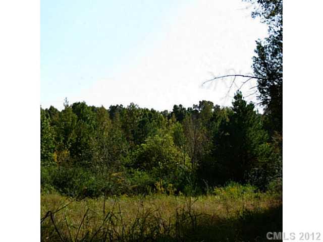 4.8-ac Sutton Spring Road York, SC 29745 - Photo 1 of 14