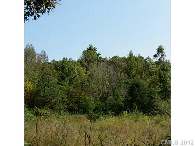 4.8-ac Sutton Spring Road York, SC 29745 - Photo 2 of 14